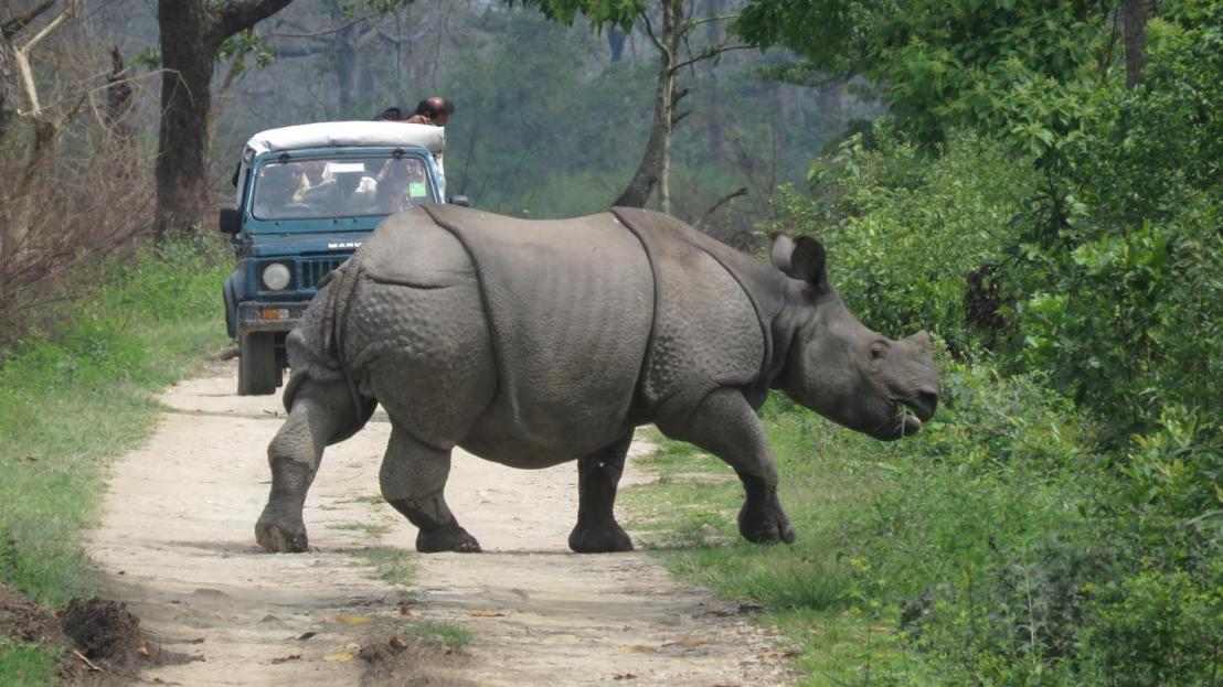 wildlife tour in india